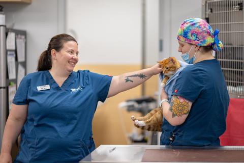 Two vet techs at Animal Humane Society with a cat