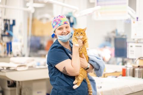 A vet tech posing with an orange cat