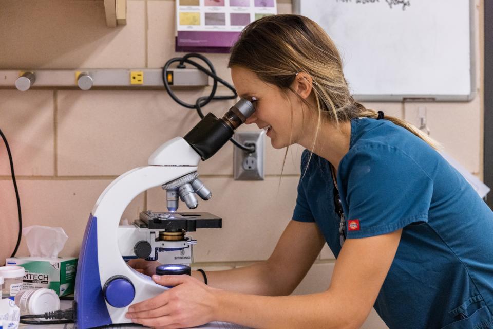 vet tech looking through microscope