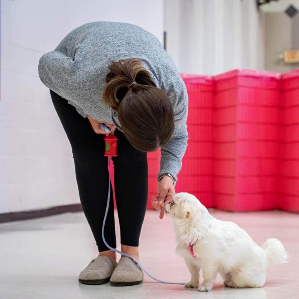 Women at AHS training, working with her small white dog. 