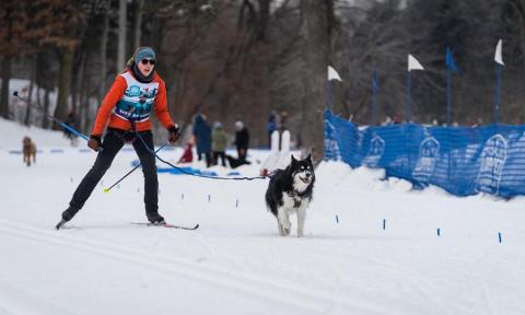Chloe Adams, skijoring with her dog Roscoe, who was adopted at AHS. 