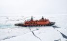 Russia and China in the Arctic: Less Than Meets the Eye