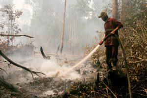 Defund Indonesia’s Deadly Peat Fires