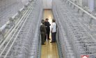 North Korea Gives Glimpse Into a Secretive Uranium-Enrichment Facility as Kim Pushes for More Nukes