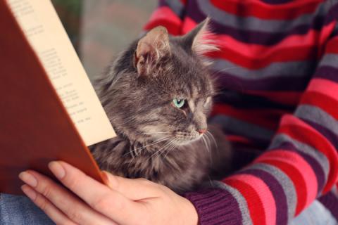 A woman reads a book with a cat in her lap